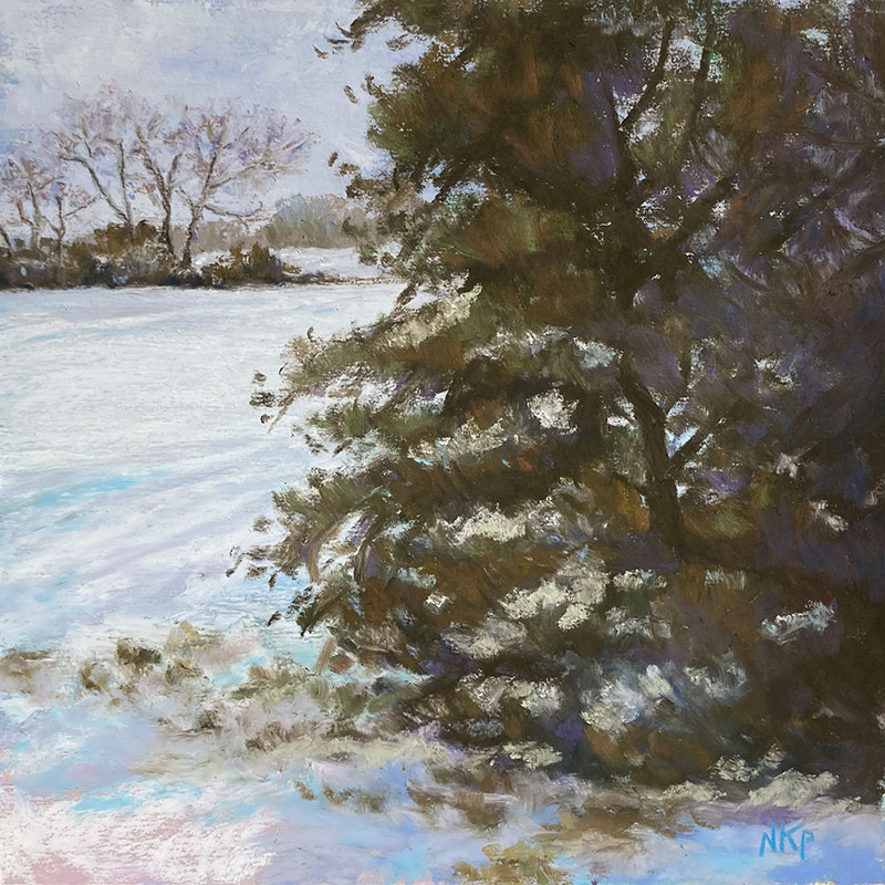 Cedar in Snow