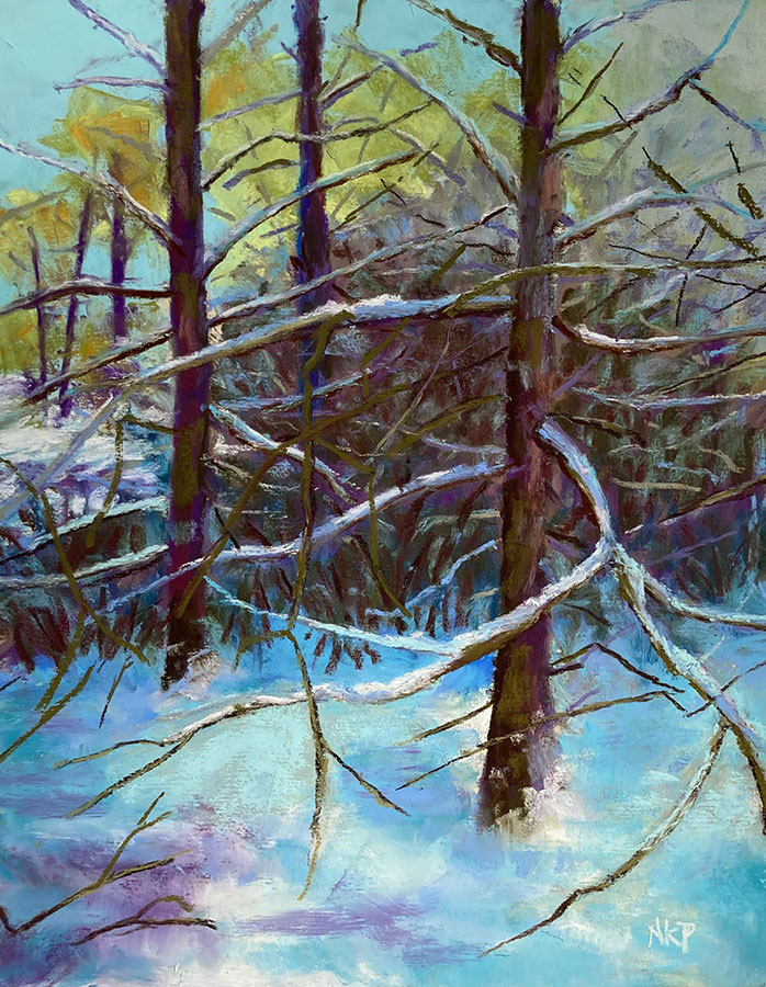 Cypress Limbs After Snowfall